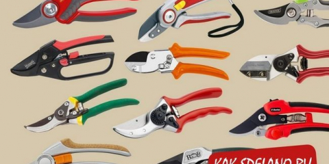 Jak si vybrat zahradní secator: přehled nejlepších a pohodlných modelů